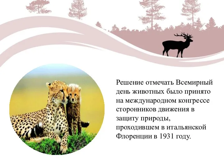 Решение отмечать Всемирный день животных было принято на международном конгрессе сторонников движения