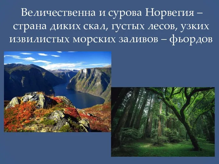 Величественна и сурова Норвегия – страна диких скал, густых лесов, узких извилистых морских заливов – фьордов