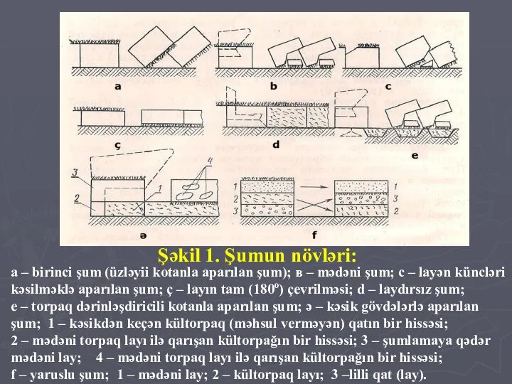 Şəkil 1. Şumun növləri: a – birinci şum (üzləyii kotanla aparılan şum);