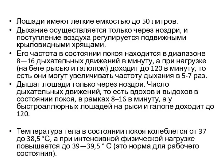 Лошади имеют легкие емкостью до 50 литров. Дыхание осуществляется только через ноздри,