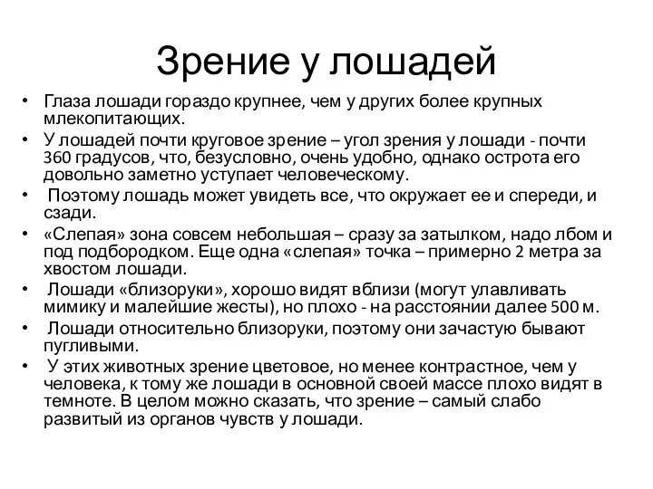 Зрение у лошадей Глаза лошади гораздо крупнее, чем у других более крупных