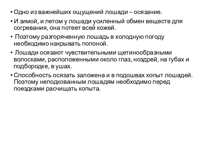 Одно из важнейших ощущений лошади – осязание. И зимой, и летом у