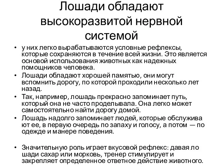 Лошади обладают высокоразвитой нервной системой у них легко вырабатываются условные рефлексы, которые