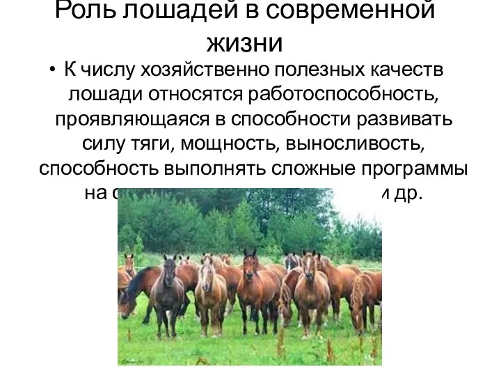 Роль лошадей в современной жизни К числу хозяйственно полезных качеств лошади относятся