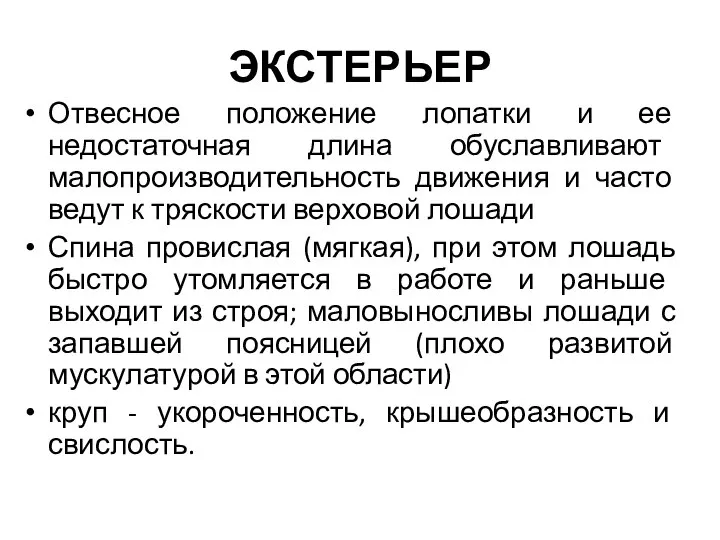 ЭКСТЕРЬЕР Отвесное положение лопатки и ее недостаточная длина обуславливают малопроизводительность движения и