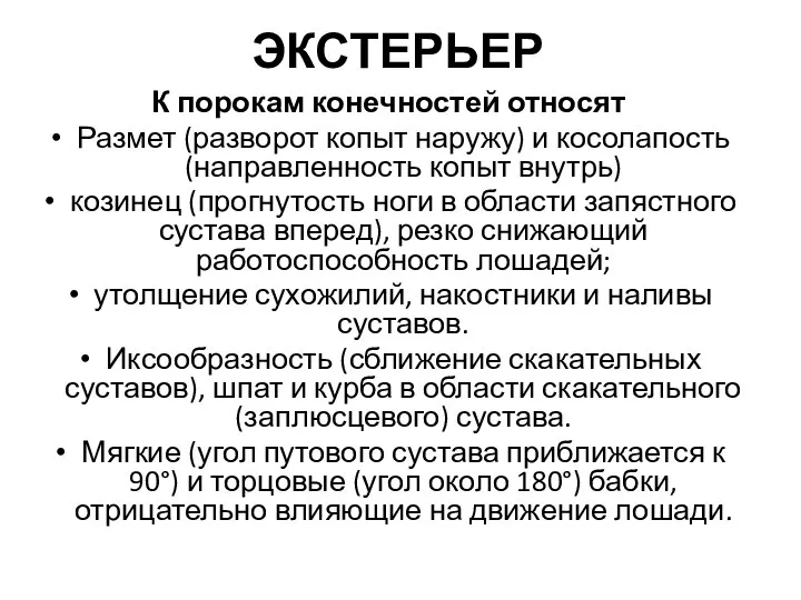 ЭКСТЕРЬЕР К порокам конечностей относят Размет (разворот копыт наружу) и косолапость (направленность