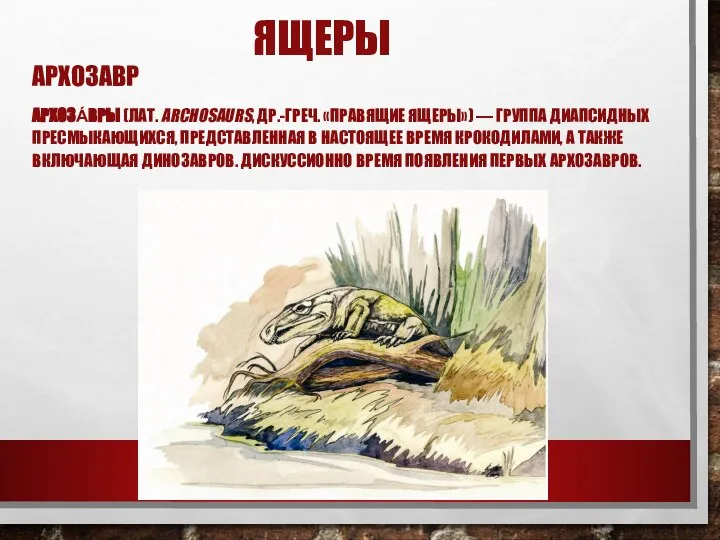 ЯЩЕРЫ АРХОЗАВР АРХОЗА́ВРЫ (ЛАТ. ARCHOSAURS, ДР.-ГРЕЧ. «ПРАВЯЩИЕ ЯЩЕРЫ») — ГРУППА ДИАПСИДНЫХ ПРЕСМЫКАЮЩИХСЯ,