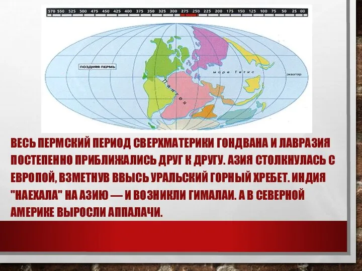 ВЕСЬ ПЕРМСКИЙ ПЕРИОД СВЕРХМАТЕРИКИ ГОНДВАНА И ЛАВРАЗИЯ ПОСТЕПЕННО ПРИБЛИЖАЛИСЬ ДРУГ К ДРУГУ.