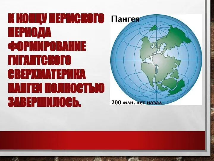 К КОНЦУ ПЕРМСКОГО ПЕРИОДА ФОРМИРОВАНИЕ ГИГАНТСКОГО СВЕРХМАТЕРИКА ПАНГЕИ ПОЛНОСТЬЮ ЗАВЕРШИЛОСЬ.