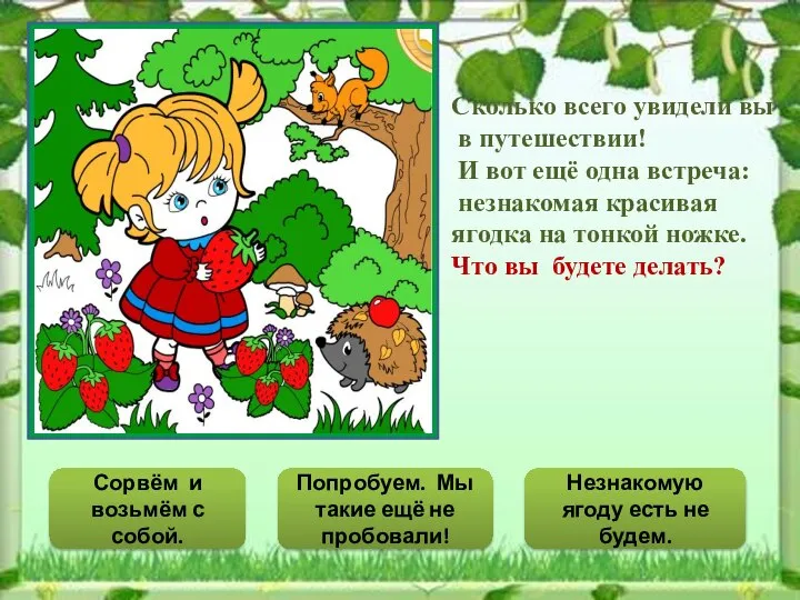 Сколько всего увидели вы в путешествии! И вот ещё одна встреча: незнакомая