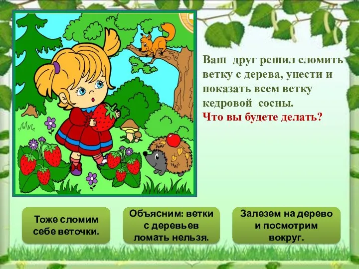 Тоже сломим себе веточки. Объясним: ветки с деревьев ломать нельзя. Залезем на