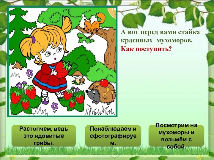 А вот перед вами стайка красивых мухоморов. Как поступить? Растопчем, ведь это