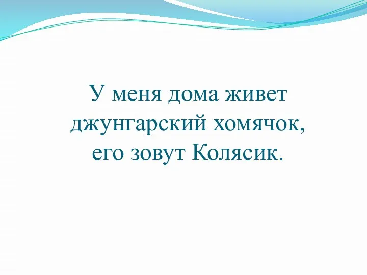 У меня дома живет джунгарский хомячок, его зовут Колясик.