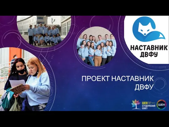 ПРОЕКТ НАСТАВНИК ДВФУ