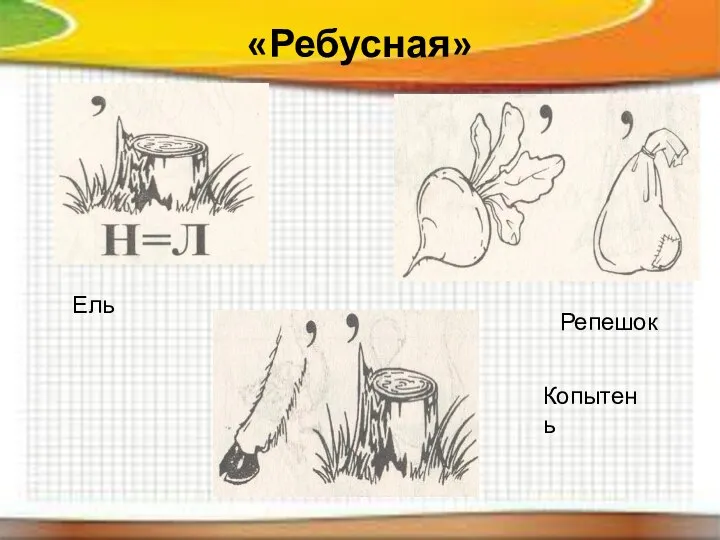 «Ребусная» Ель Репешок Копытень