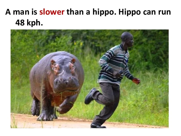 A man is slower than a hippo. Hippo can run 48 kph.