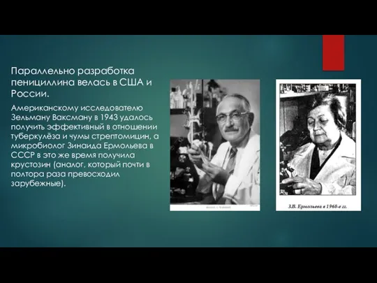 Параллельно разработка пенициллина велась в США и России. Американскому исследователю Зельману Ваксману