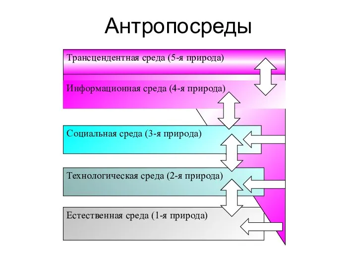 Антропосреды Естественная среда (1-я природа) Технологическая среда (2-я природа) Социальная среда (3-я