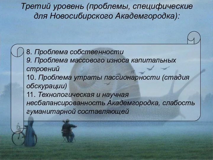 Третий уровень (проблемы, специфические для Новосибирского Академгородка): 8. Проблема собственности 9. Проблема