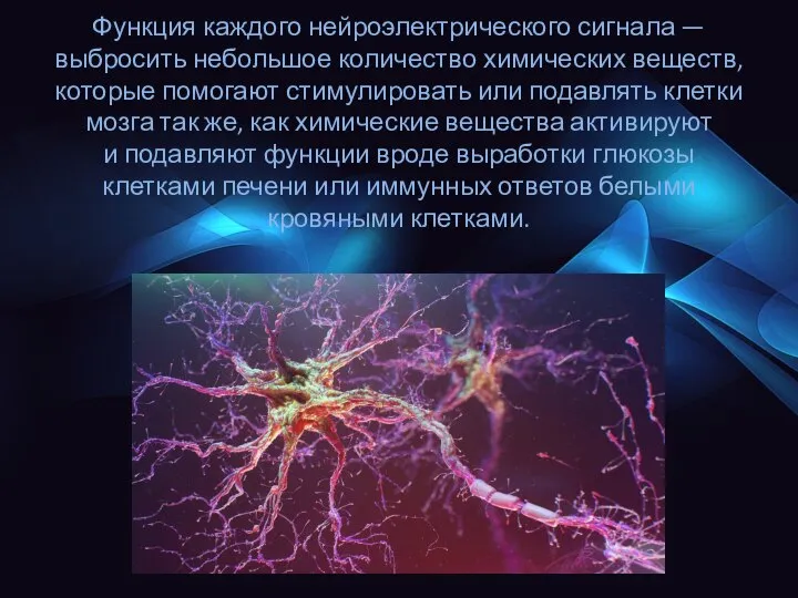 Функция каждого нейроэлектрического сигнала — выбросить небольшое количество химических веществ, которые помогают