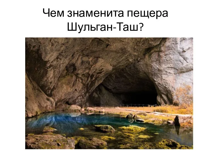Чем знаменита пещера Шульган-Таш?