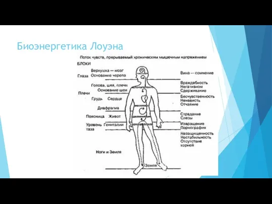 Биоэнергетика Лоуэна