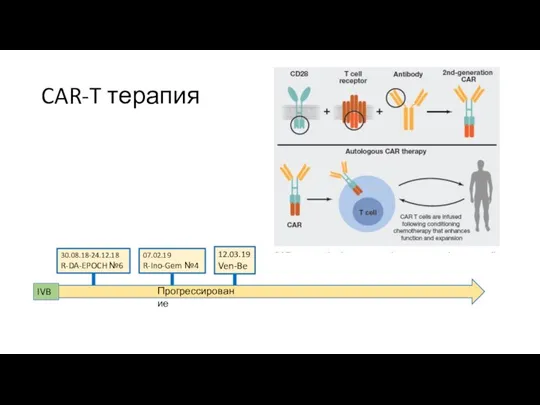 CAR-T терапия IVB 30.08.18-24.12.18 R-DA-EPOCH №6 Прогрессирование 07.02.19 R-Ino-Gem №4 12.03.19 Ven-Be