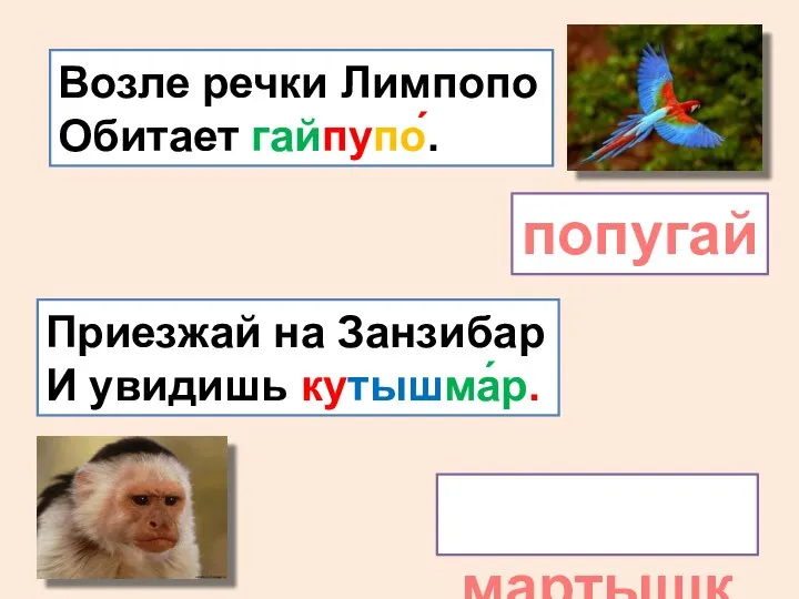 Возле речки Лимпопо Обитает гайпупо́. попугай Приезжай на Занзибар И увидишь кутышма́р. мартышку