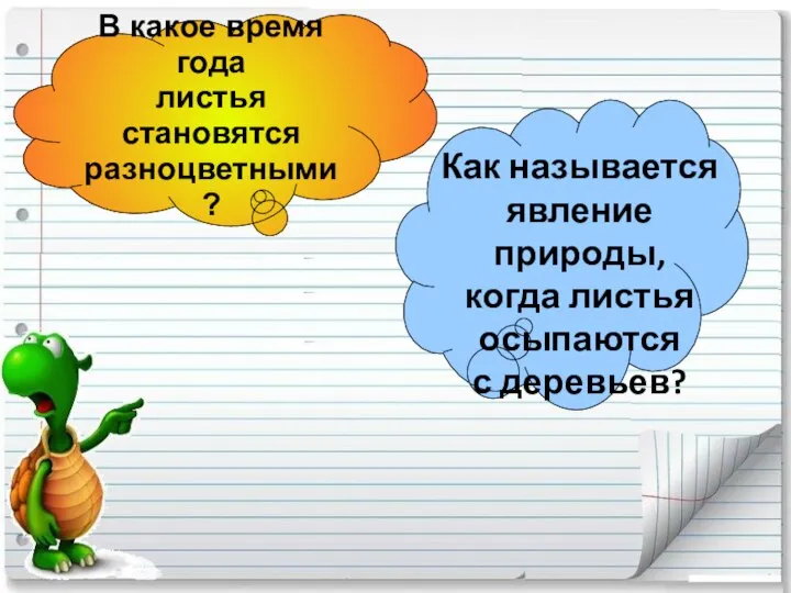 В какое время года листья становятся разноцветными? Как называется явление природы, когда листья осыпаются с деревьев?