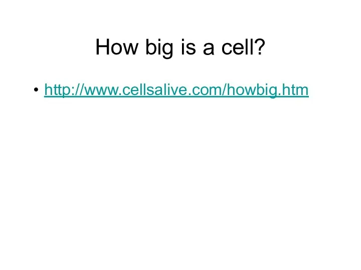 How big is a cell? http://www.cellsalive.com/howbig.htm