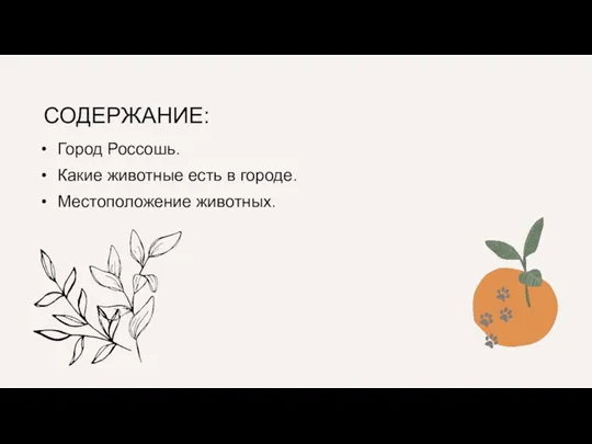 СОДЕРЖАНИЕ: Город Россошь. Какие животные есть в городе. Местоположение животных.