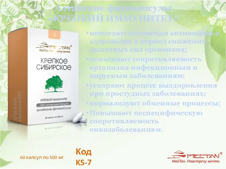 Алтайские фитокапсулы «КРЕПКИЙ ИММУНИТЕТ» помогают оставаться активными и здоровыми в период снижения