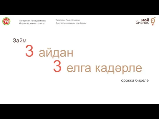 3 айдан 3 елга кадәрле Татарстан Республикасы Эшкуарлыкка ярдәм итү фонды Займ