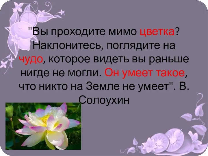 "Вы проходите мимо цветка? Наклонитесь, поглядите на чудо, которое видеть вы раньше