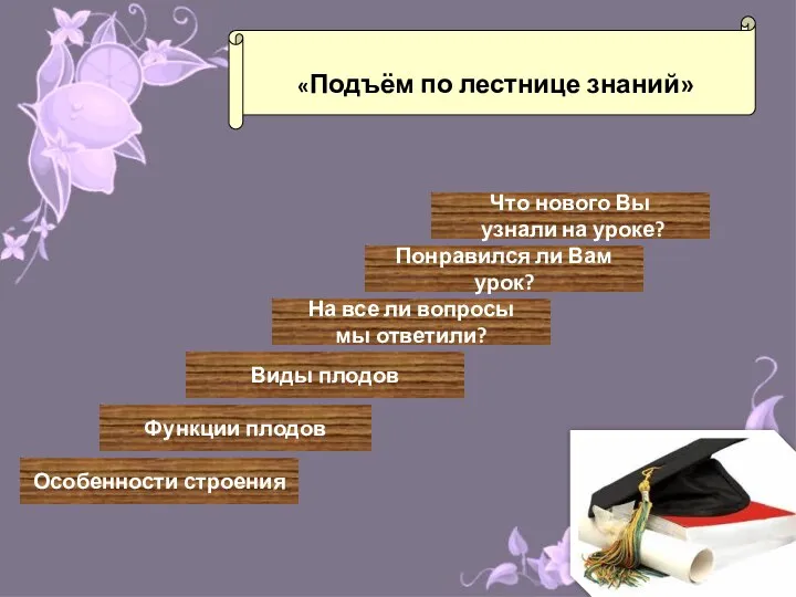 «Подъём по лестнице знаний» Особенности строения Функции плодов Виды плодов На все