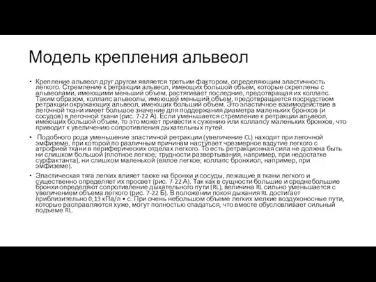 Модель крепления альвеол Крепление альвеол друг другом является третьим фактором, определяющим эластичность