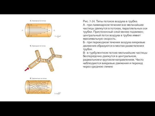 Рис. 7-24. Типы потоков воздуха в трубке. А - при ламинарном течении