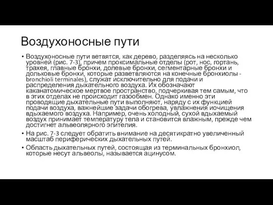 Воздухоносные пути Воздухоносные пути ветвятся, как дерево, разделяясь на несколько уровней (рис.