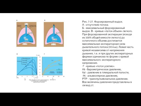 Рис. 7-27. Форсированный выдох. А - отсутствие потока. Б - максимальный форсированный