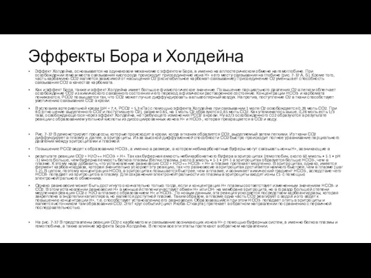 Эффекты Бора и Холдейна Эффект Холдейна, основывается на одинаковом механизме с эффектом