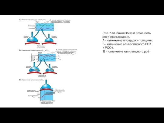 Рис. 7-40. Закон Фика и сложность его использования. А - изменение площади