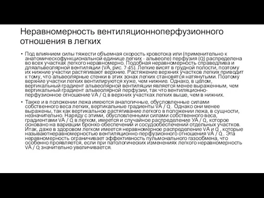 Неравномерность вентиляционноперфузионного отношения в легких Под влиянием силы тяжести объемная скорость кровотока