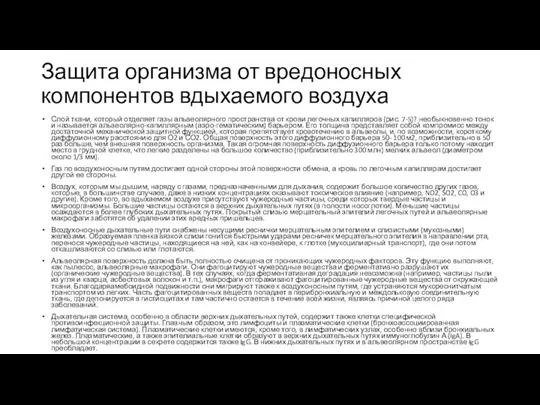 Защита организма от вредоносных компонентов вдыхаемого воздуха Слой ткани, который отделяет газы