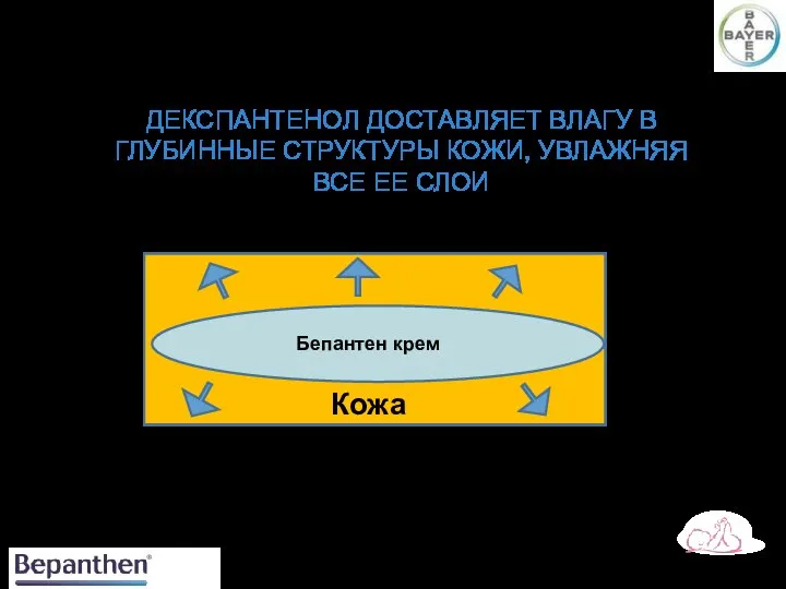 ДЕКСПАНТЕНОЛ ДОСТАВЛЯЕТ ВЛАГУ В ГЛУБИННЫЕ СТРУКТУРЫ КОЖИ, УВЛАЖНЯЯ ВСЕ ЕЕ СЛОИ Бепантен крем Кожа