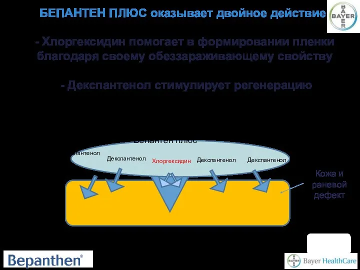 БЕПАНТЕН ПЛЮС оказывает двойное действие: - Хлоргексидин помогает в формировании пленки благодаря