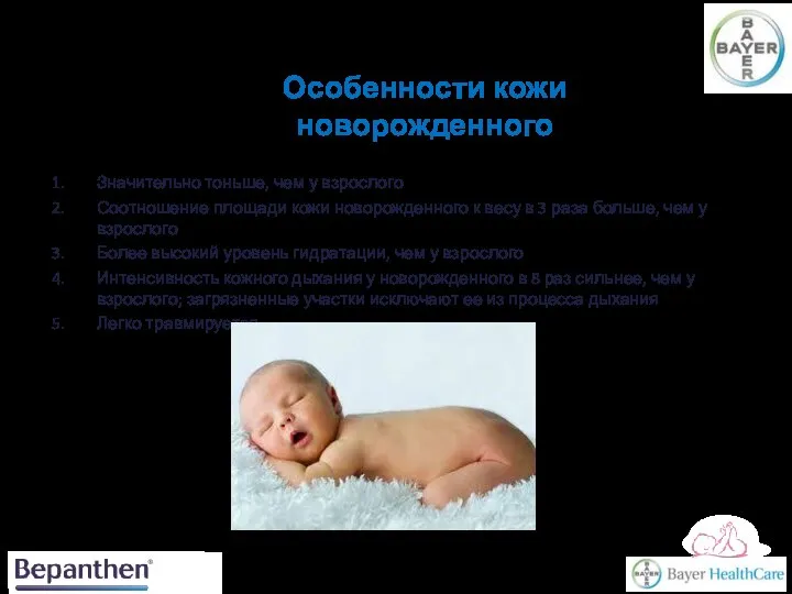Особенности кожи новорожденного Значительно тоньше, чем у взрослого Соотношение площади кожи новорожденного