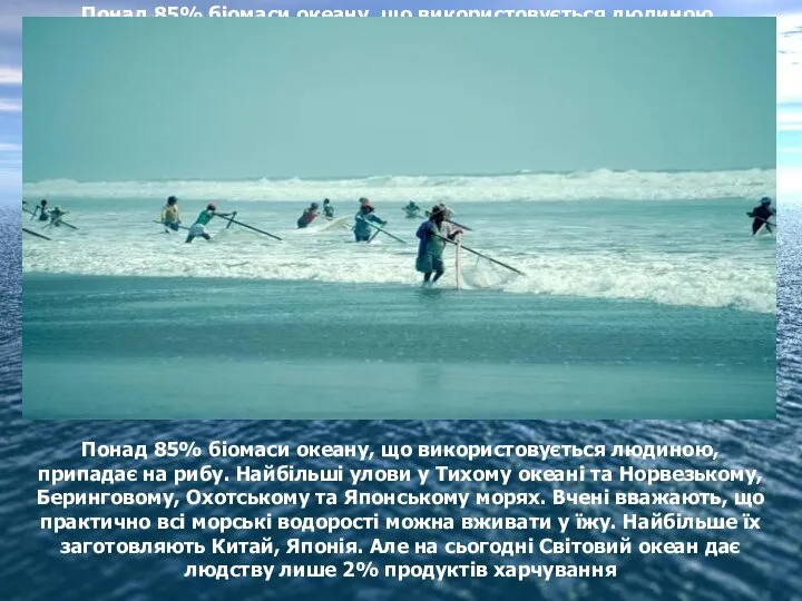 Понад 85% біомаси океану, що використовується людиною, припадає на рибу. Найбільші улови