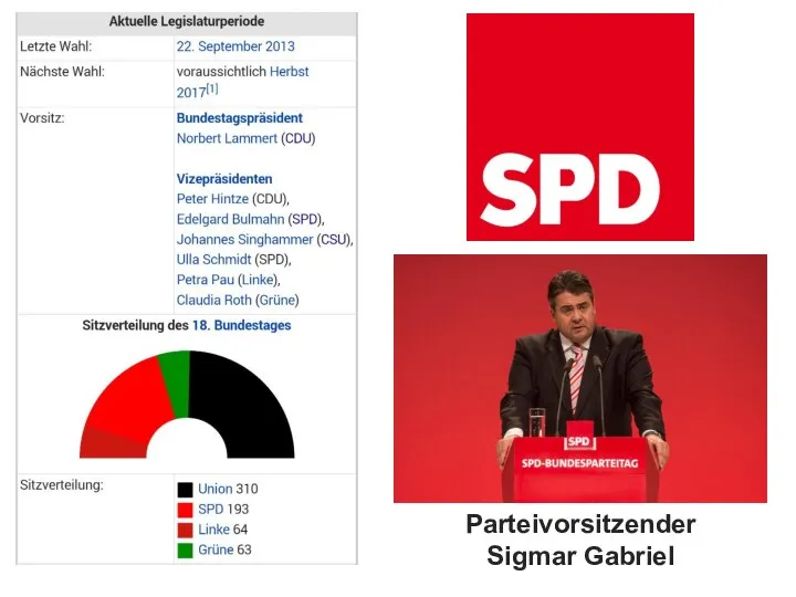 Partei­vorsitzender Sigmar Gabriel