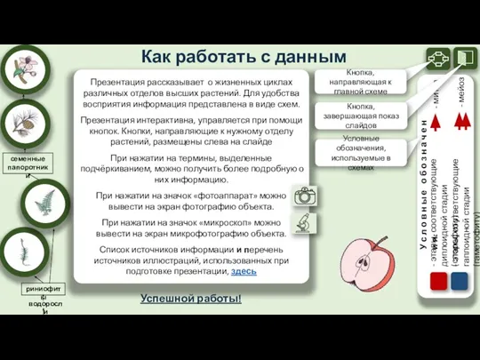 водоросли риниофиты семенные папоротники Как работать с данным пособием? Презентация рассказывает о