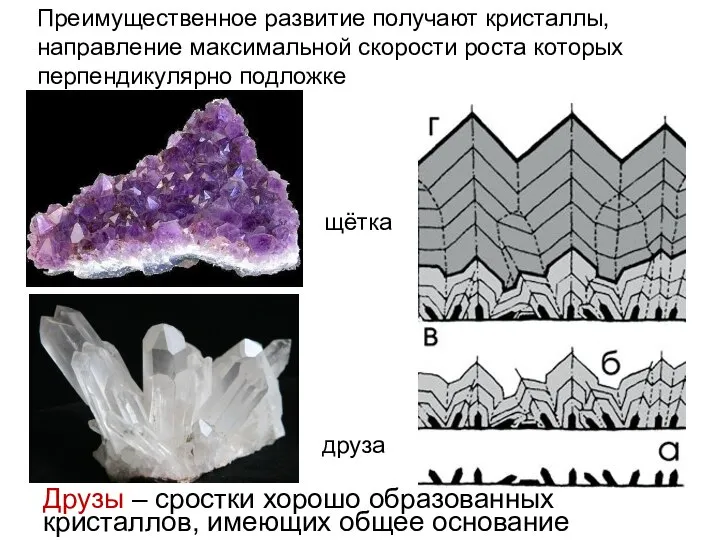 друза щётка Преимущественное развитие получают кристаллы, направление максимальной скорости роста которых перпендикулярно